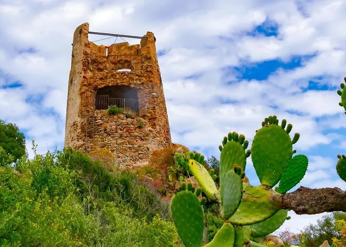 Sea Whisper - Joy Collection